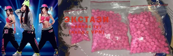 стаф Алзамай