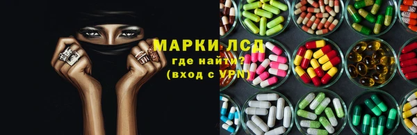 стаф Алзамай
