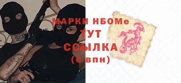 стаф Алзамай