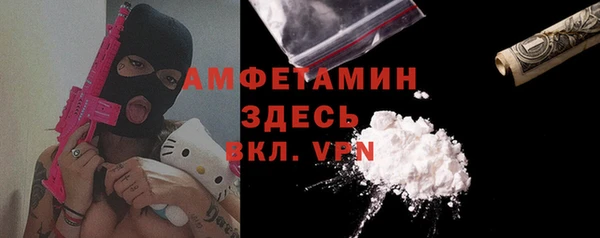твердый Алексеевка