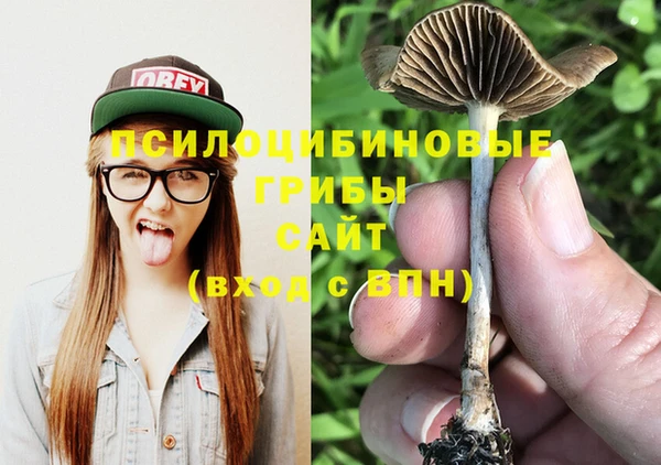 стаф Алзамай