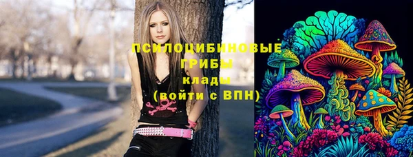 твердый Алексеевка