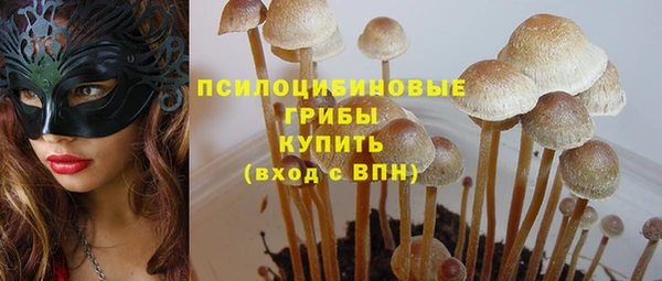 стаф Алзамай