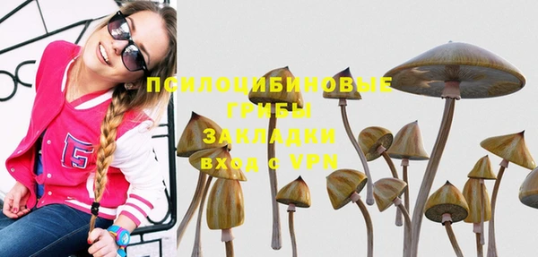 твердый Алексеевка