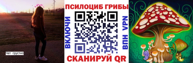 Псилоцибиновые грибы Psilocybine cubensis  где купить   Устюжна 